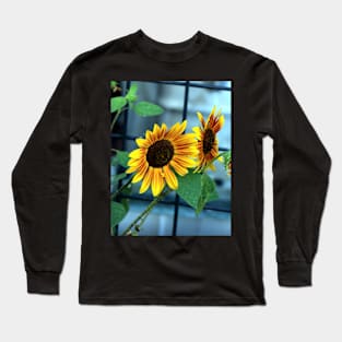 Sunflower Heaven Long Sleeve T-Shirt